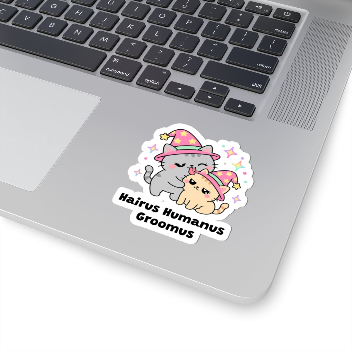 Hairus Humanus Groomus wizard cat sticker stuck on a silver laptop next to the keyboard