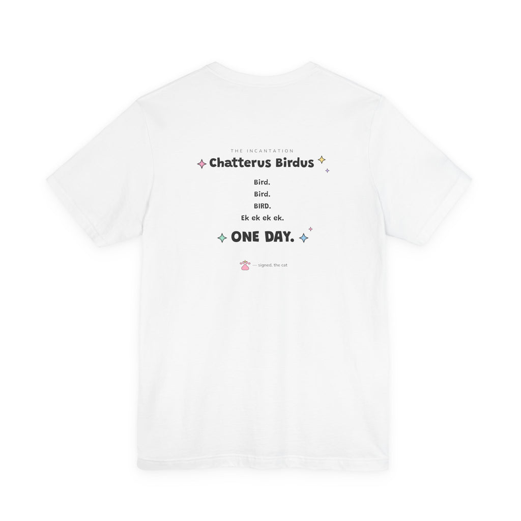 Green wizard cat in an orange hat chattering at a tiny yellow bird outside a window, Chatterus Birdus tee