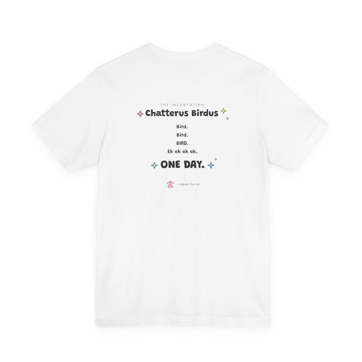 Green wizard cat in an orange hat chattering at a tiny yellow bird outside a window, Chatterus Birdus tee