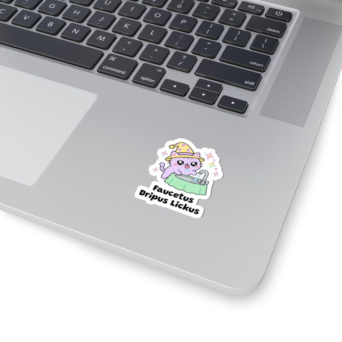 Faucetus Dripus Lickus wizard cat sticker stuck on a silver laptop next to the keyboard