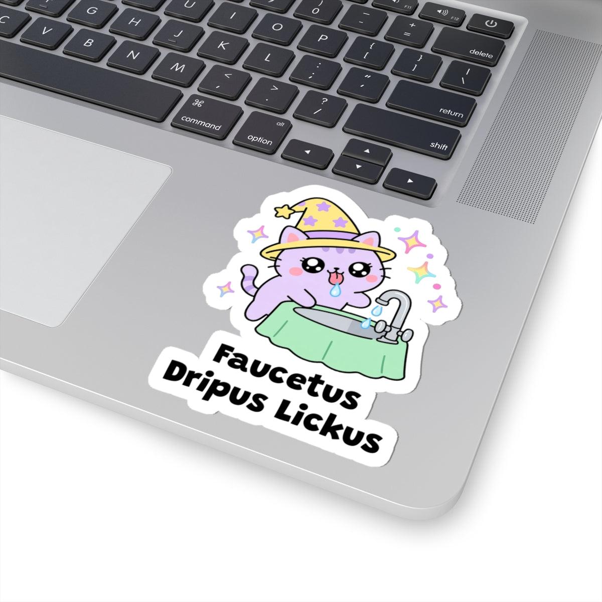 Faucetus Dripus Lickus wizard cat sticker stuck on a silver laptop next to the keyboard