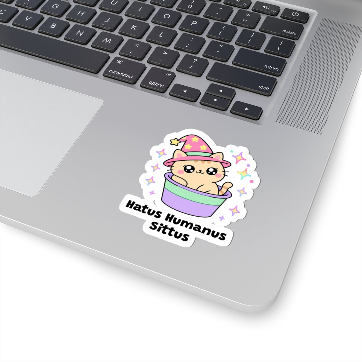 Hatus Humanus Sittus wizard cat sticker stuck on a silver laptop next to the keyboard