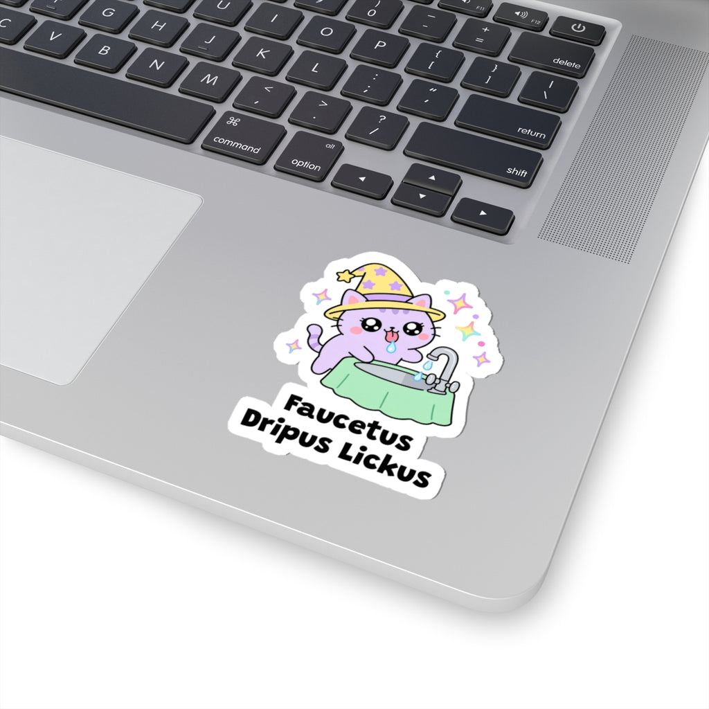Faucetus Dripus Lickus wizard cat sticker stuck on a silver laptop next to the keyboard