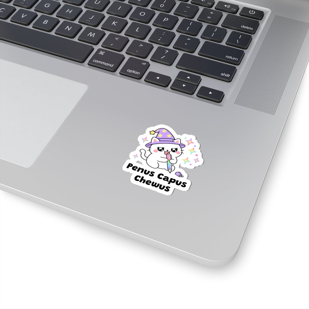 Penus Capus Chewus wizard cat sticker stuck on a silver laptop next to the keyboard