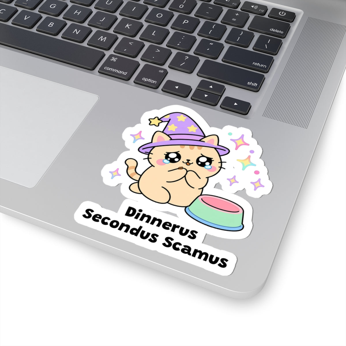 Dinnerus Secondus Scamus wizard cat sticker stuck on a silver laptop next to the keyboard