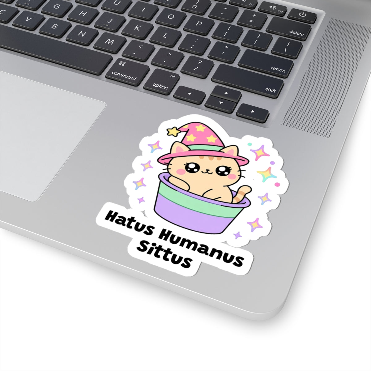 Hatus Humanus Sittus wizard cat sticker stuck on a silver laptop next to the keyboard