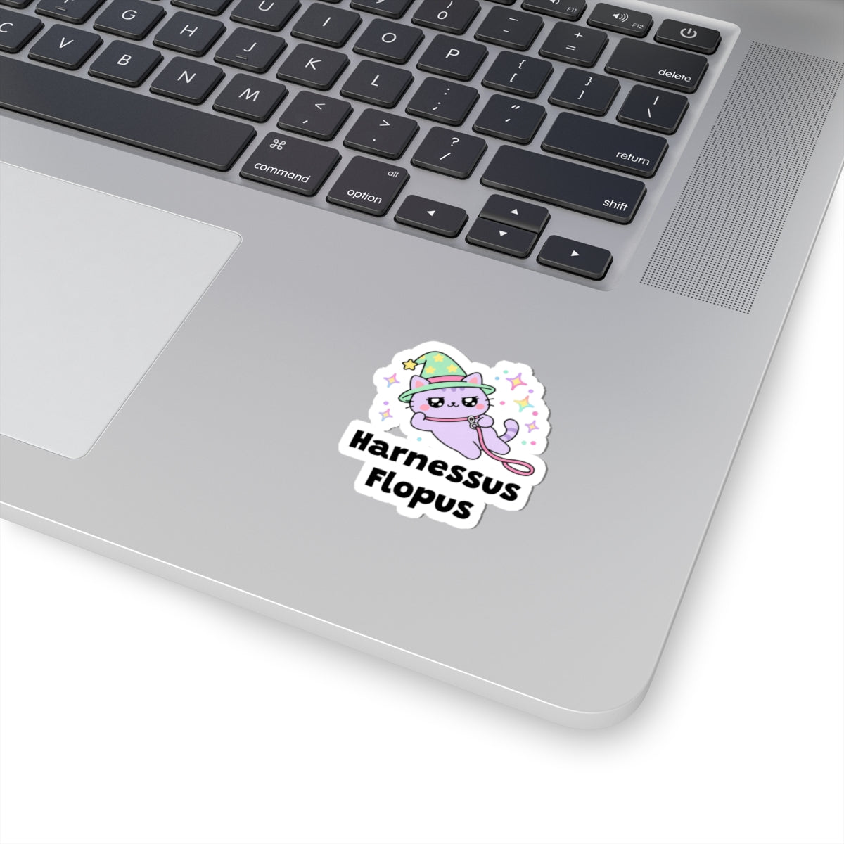 Harnessus Flopus wizard cat sticker stuck on a silver laptop next to the keyboard