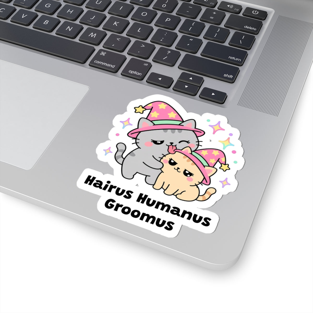 Hairus Humanus Groomus wizard cat sticker stuck on a silver laptop next to the keyboard