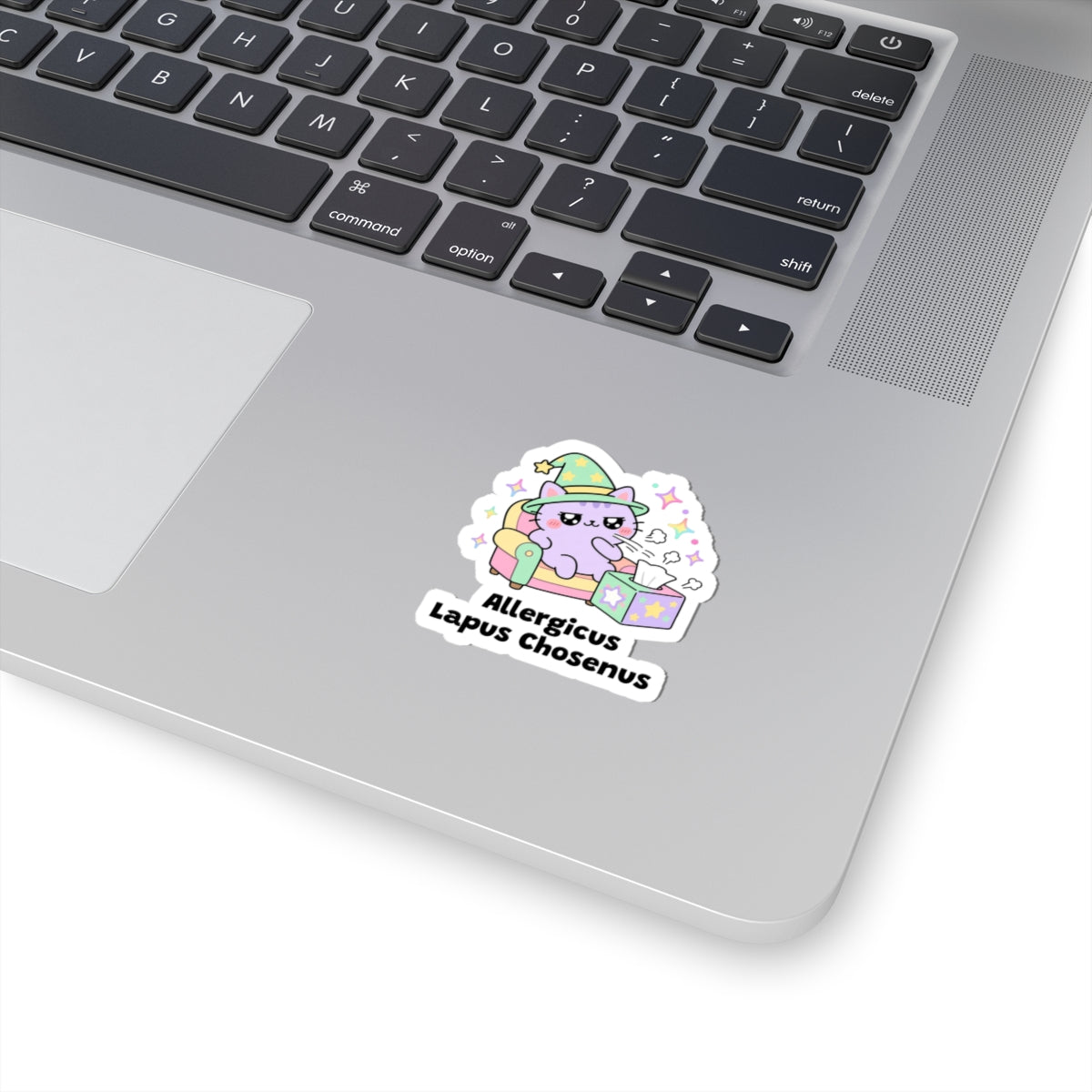 Allergicus Lapus Chosenus wizard cat sticker stuck on a silver laptop next to the keyboard