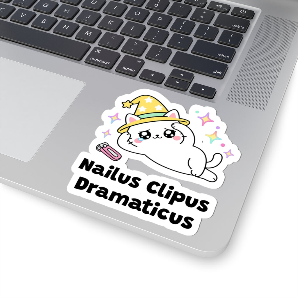 Nailus Clipus Dramaticus wizard cat sticker stuck on a silver laptop next to the keyboard