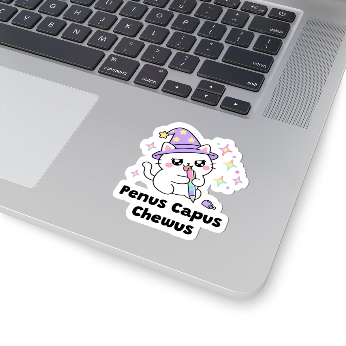 Penus Capus Chewus wizard cat sticker stuck on a silver laptop next to the keyboard