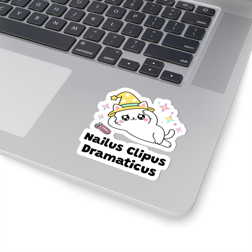 Nailus Clipus Dramaticus wizard cat sticker stuck on a silver laptop next to the keyboard