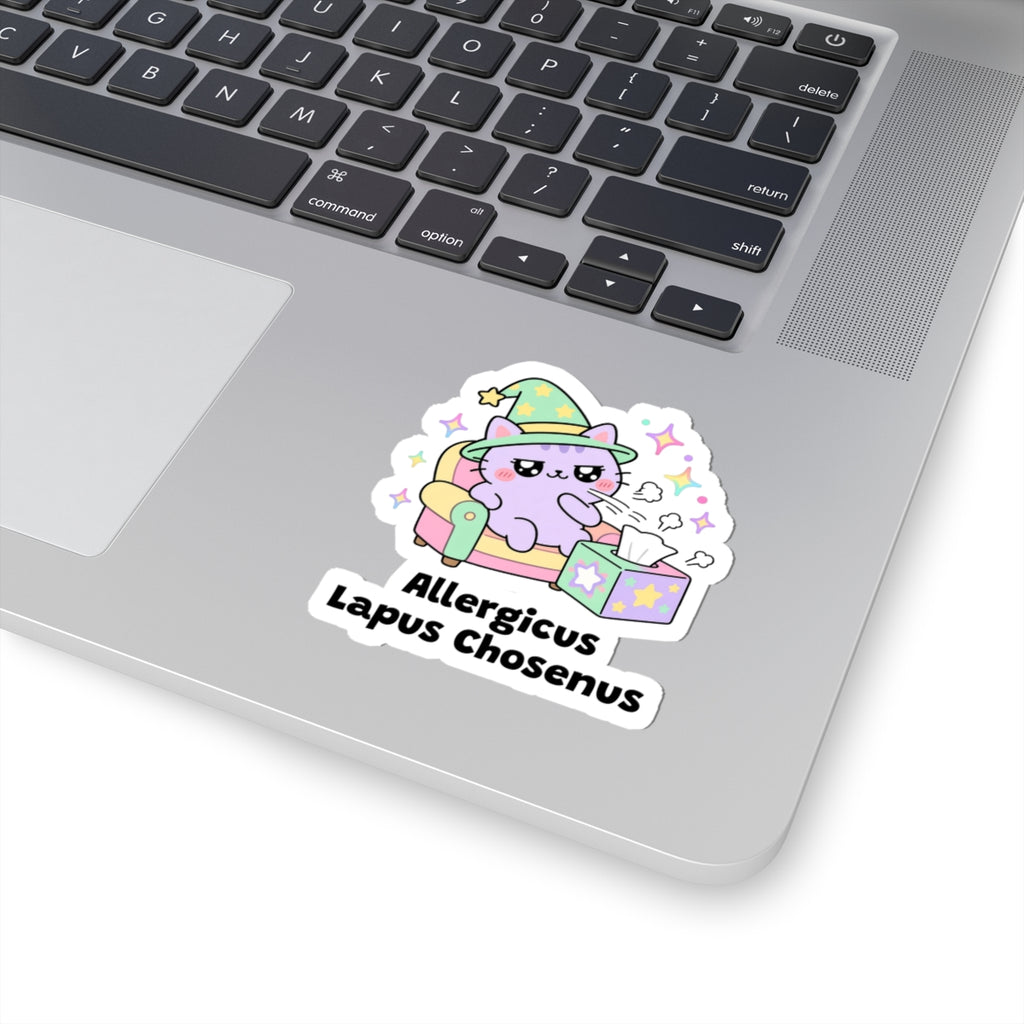 Allergicus Lapus Chosenus wizard cat sticker stuck on a silver laptop next to the keyboard