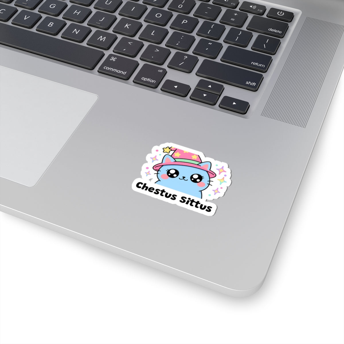 Chestus Sittus wizard cat sticker stuck on a silver laptop next to the keyboard