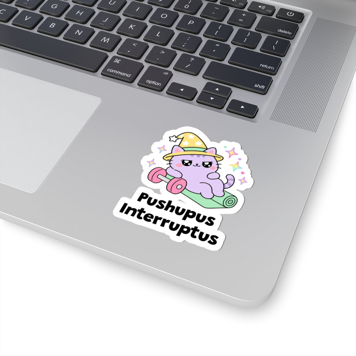 Pushupus Interruptus wizard cat sticker stuck on a silver laptop next to the keyboard