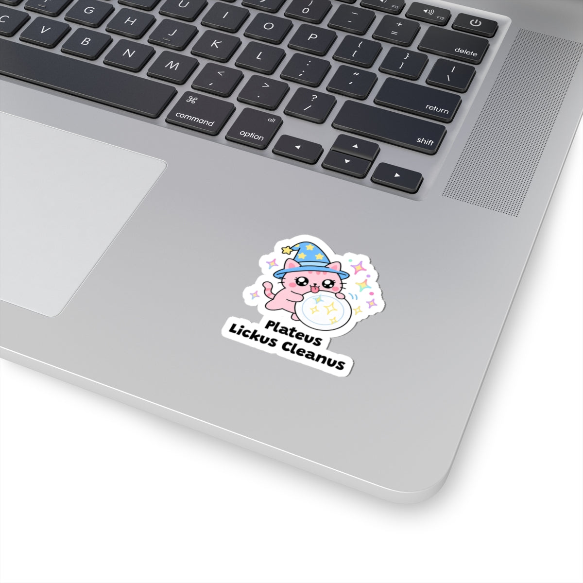 Plateus Lickus Cleanus wizard cat sticker stuck on a silver laptop next to the keyboard
