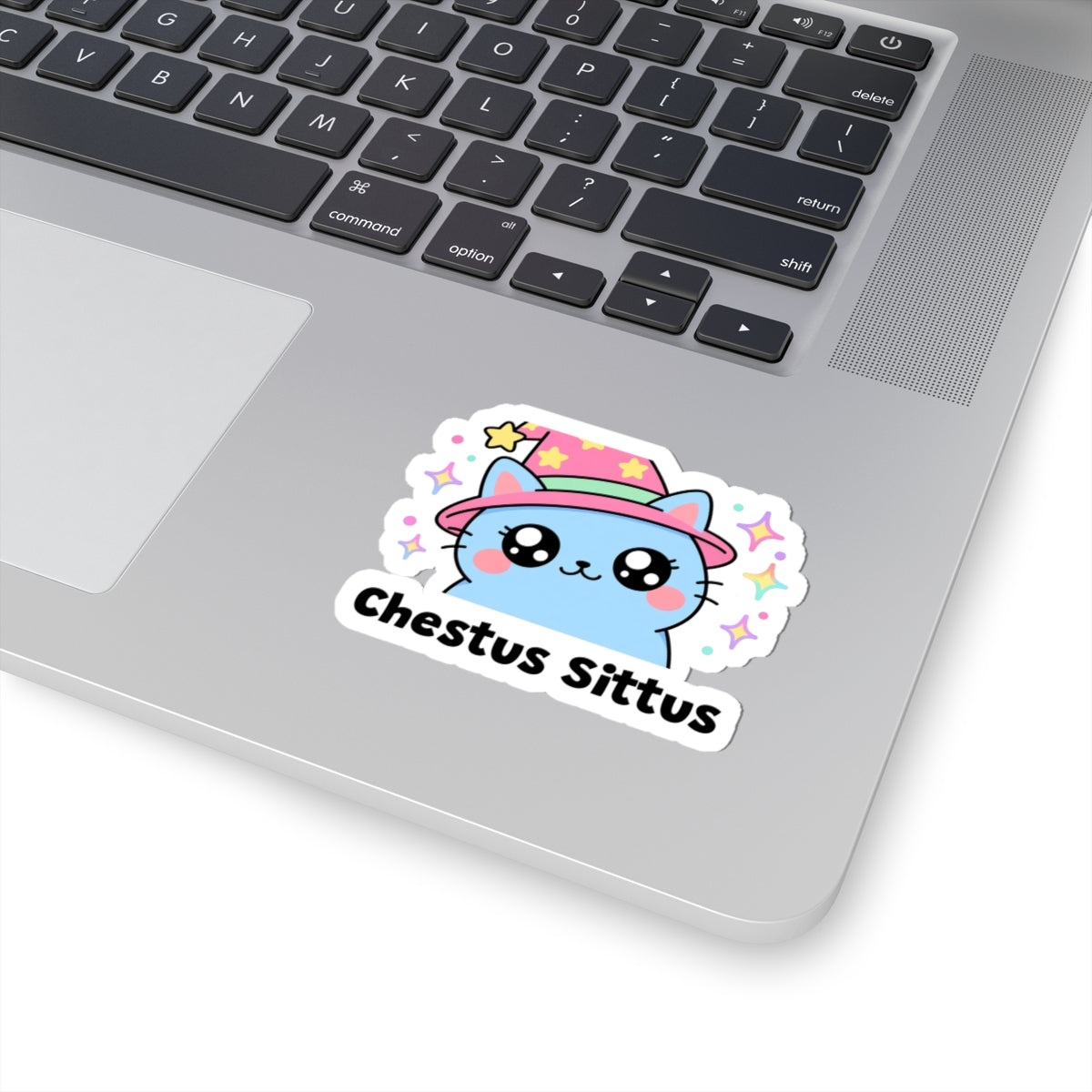 Chestus Sittus wizard cat sticker stuck on a silver laptop next to the keyboard