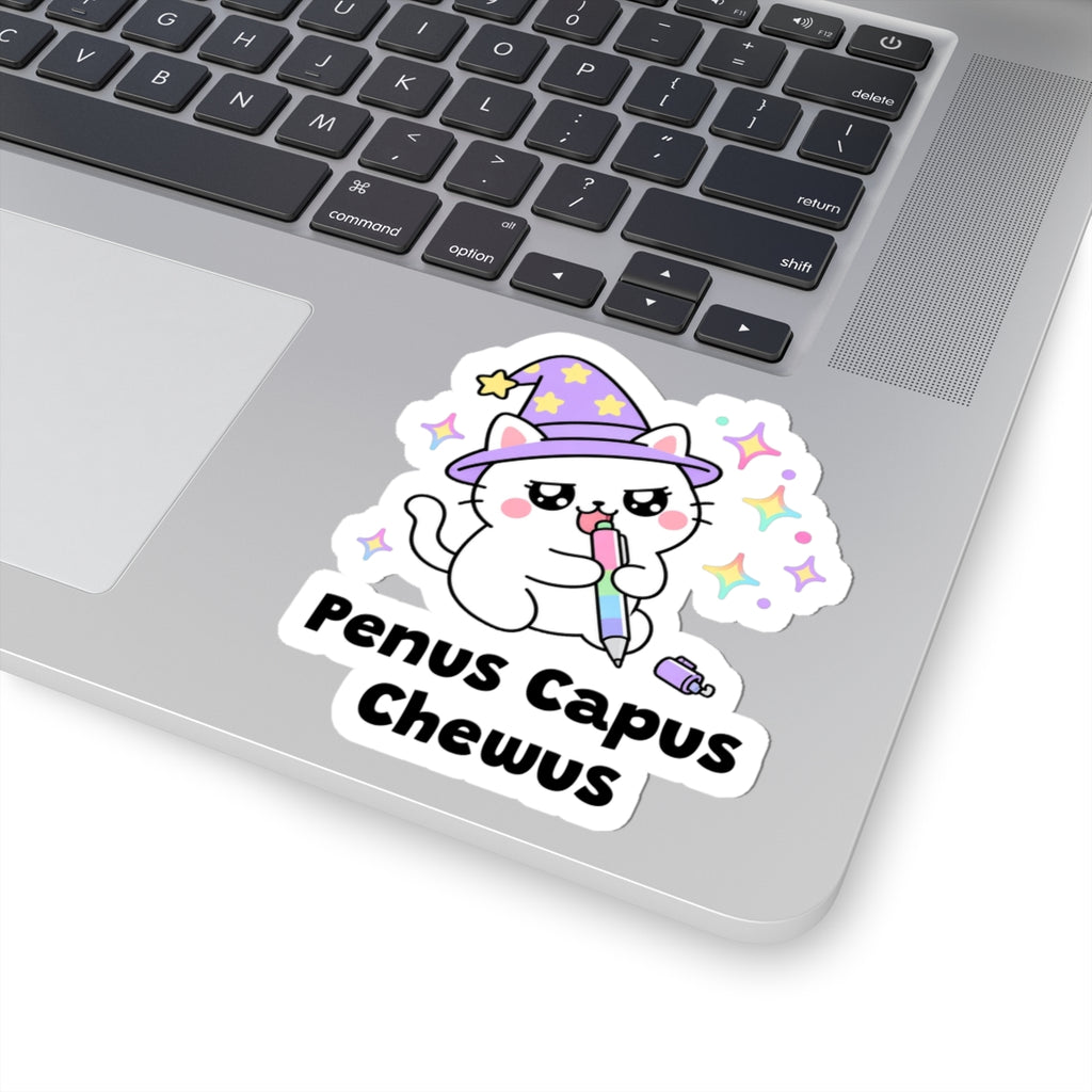 Penus Capus Chewus wizard cat sticker stuck on a silver laptop next to the keyboard